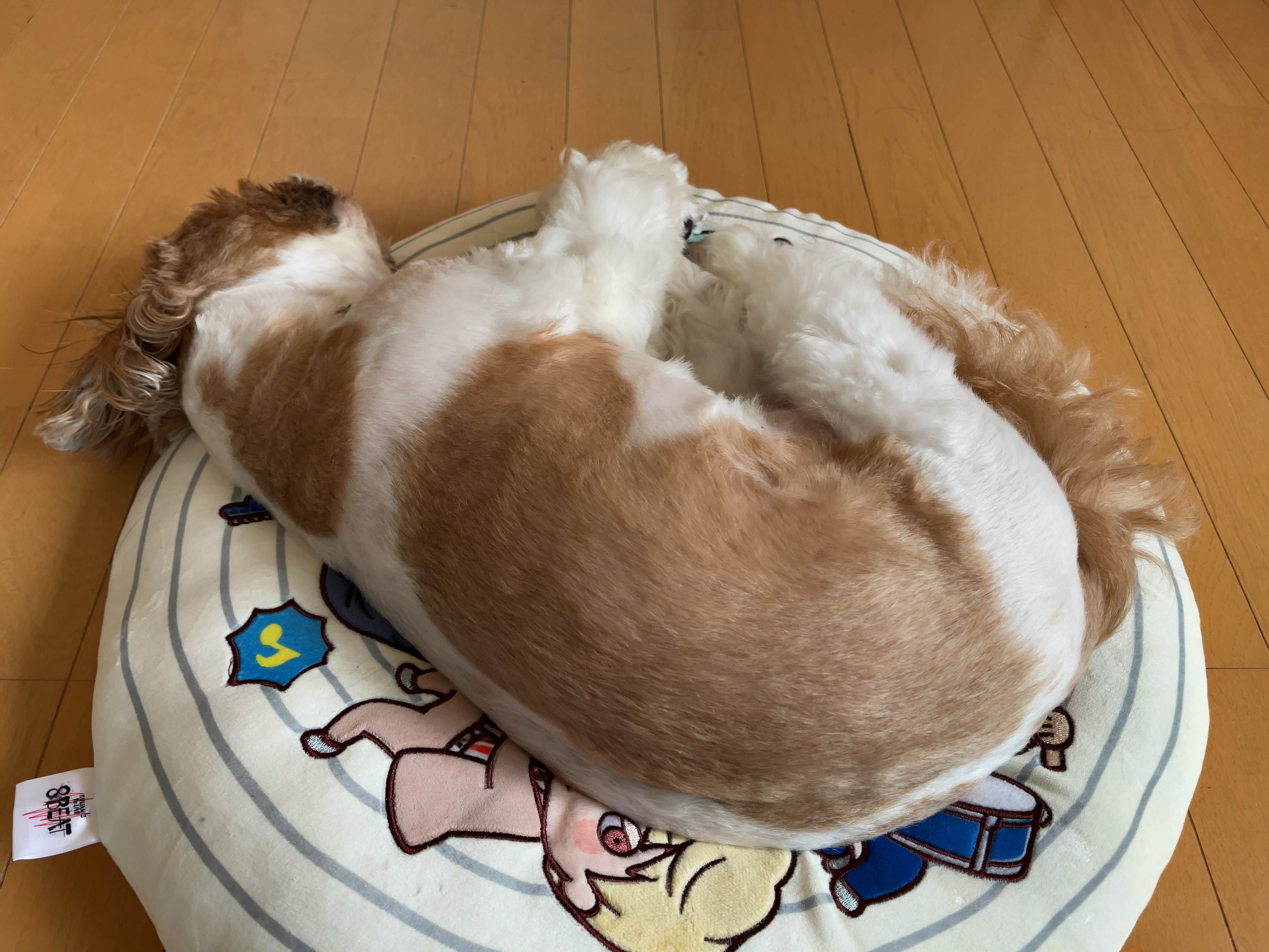 画像2
