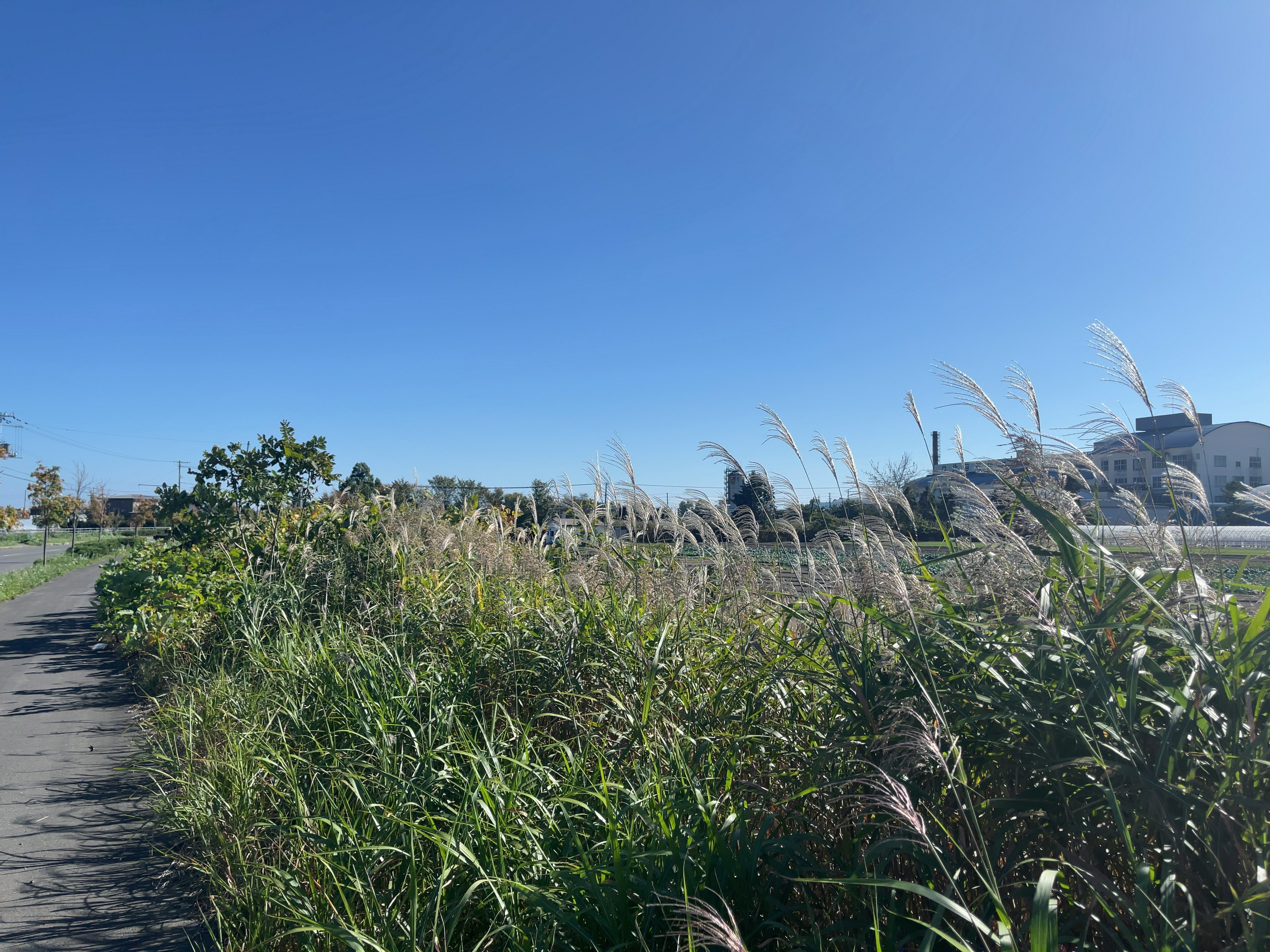 北海道道779号南黄金長和線