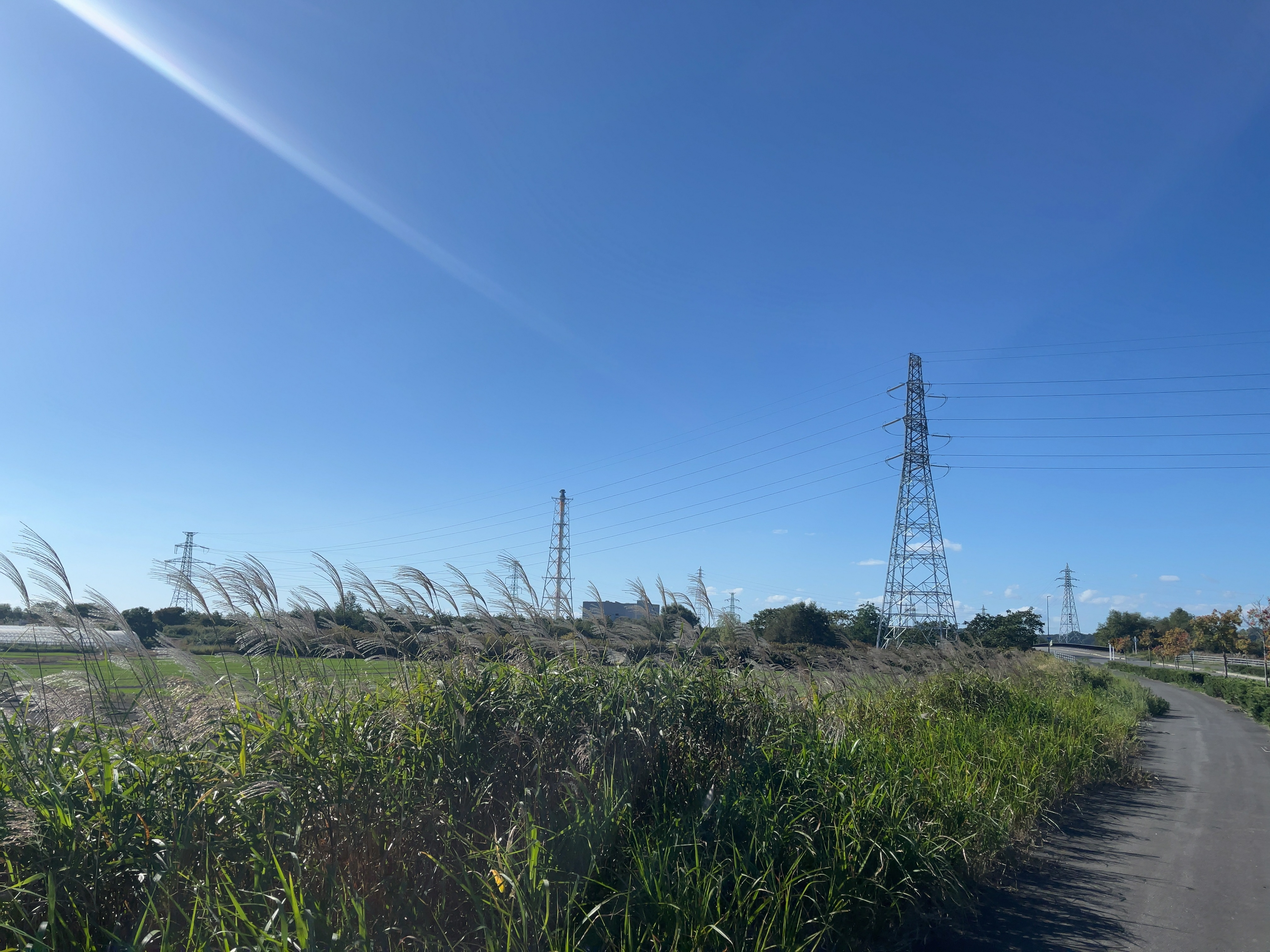 北海道道779号南黄金長和線
